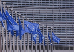 Bosna i Hercegovina dobila kandidatski status za članstvo u Europskoj uniji
